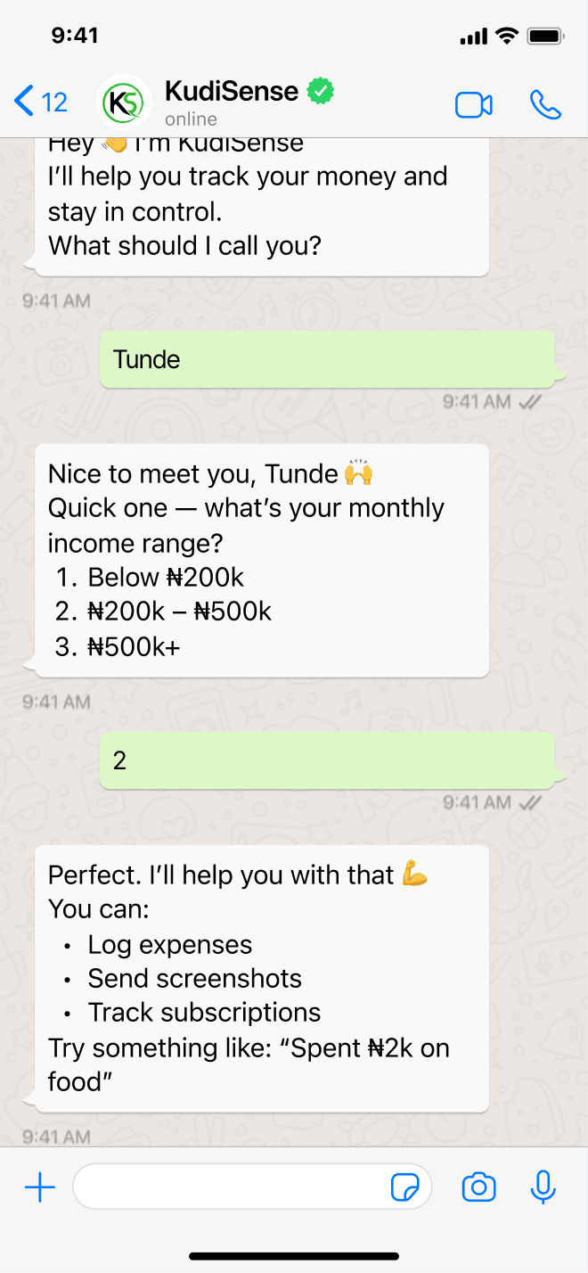 KudiSense chat
